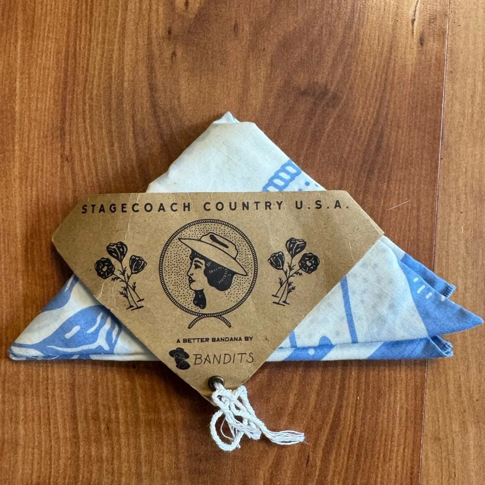 *NWT* Stagecoach x Bandits - Vintage Western Bandana in Blue and Cream